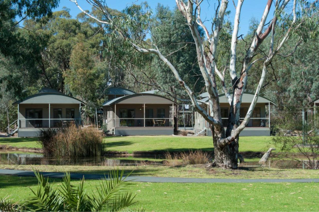Tasman Holiday Parks - Moama On The Murray Exteriör bild